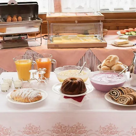 Singer فندق Birgitz