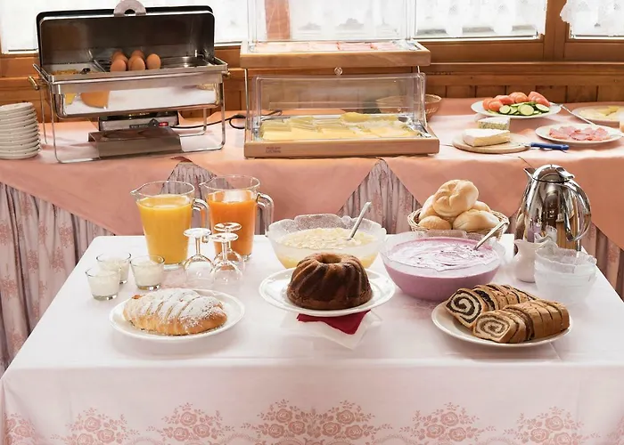 Singer Hotel Birgitz